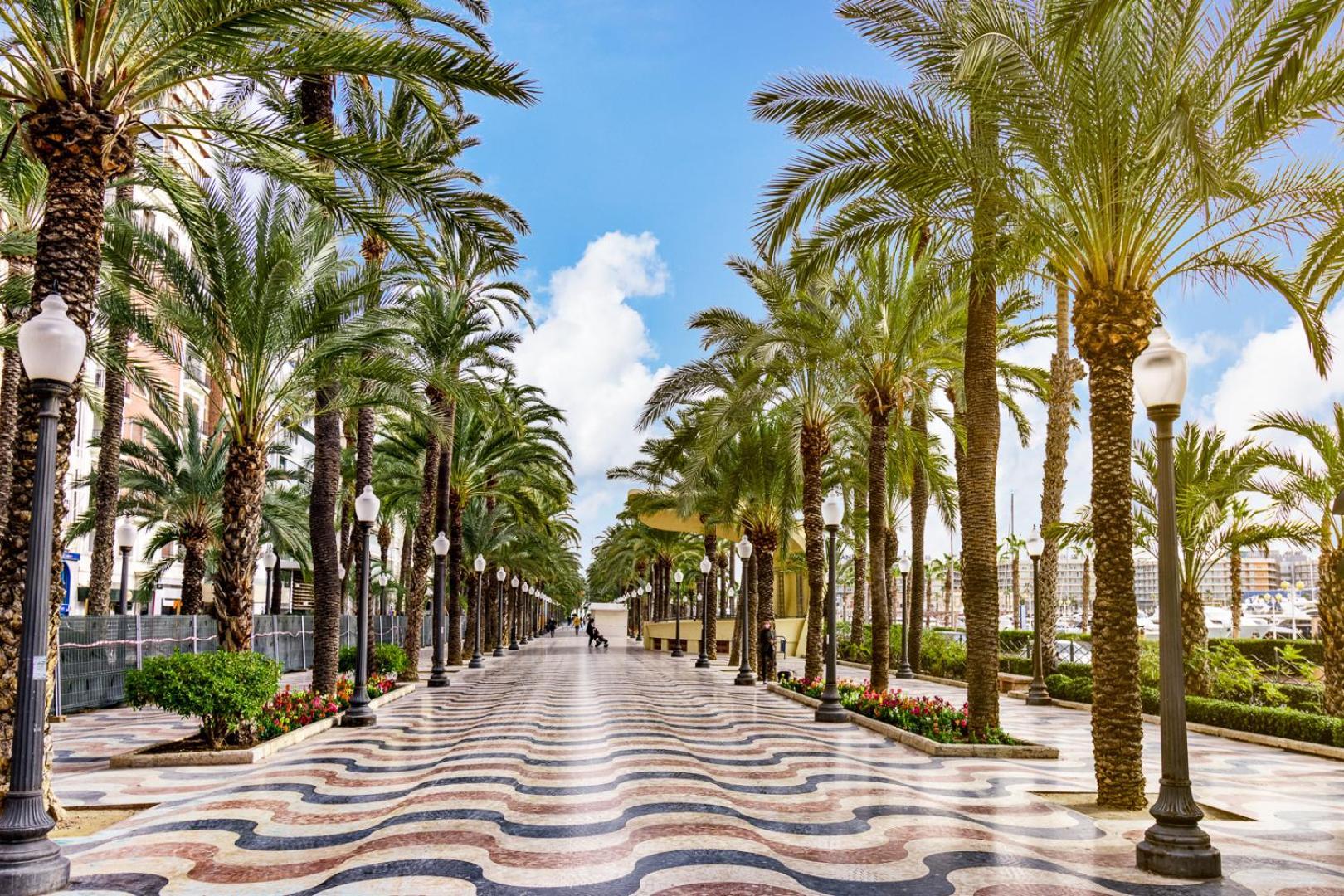 Hb Apartments - Mercado Central - Rambla Alicante - La Suite De La Playa Dış mekan fotoğraf