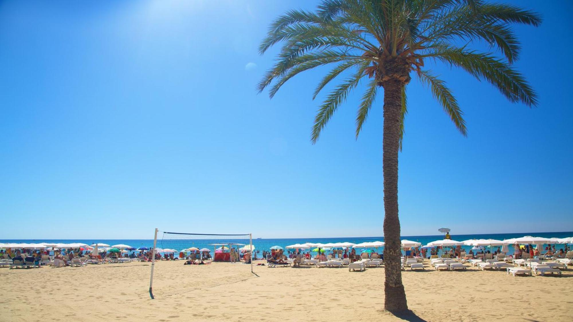 Hb Apartments - Mercado Central - Rambla Alicante - La Suite De La Playa Dış mekan fotoğraf